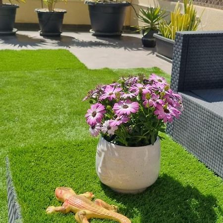 La Zenia Sabrina Apartment 5 Orihuela Extérieur photo